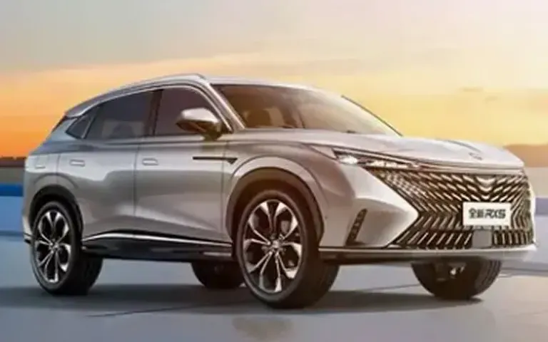Chinese Car Brand Insurance